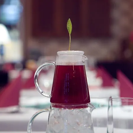 Berg Hotel Staré Splavy